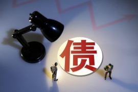 那曲清债公司——专业债务解决方案提供商
